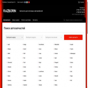 Скриншот главной страницы сайта razborin.ru