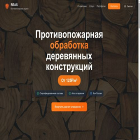 Скриншот главной страницы сайта reasnyc.com