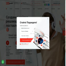 Скриншот главной страницы сайта red-profit.ru