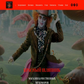 Скриншот главной страницы сайта redhatter.ru