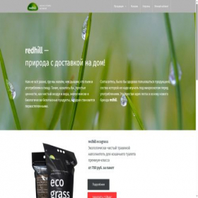 Скриншот главной страницы сайта redhill.eco