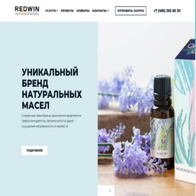Скриншот главной страницы сайта redwin.ru