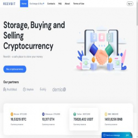 Скриншот главной страницы сайта reevbit.com