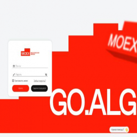Скриншот главной страницы сайта reg.goalgo.ru