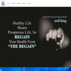 Скриншот главной страницы сайта regain.in