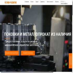 Скриншот главной страницы сайта region-raz.ru