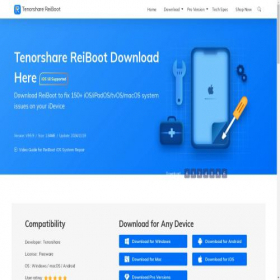 Скриншот главной страницы сайта reiboot.com