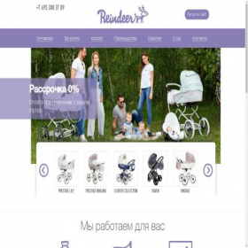 Скриншот главной страницы сайта reind.ru