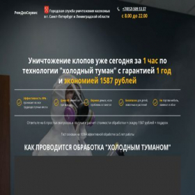 Скриншот главной страницы сайта remdezservice.ru
