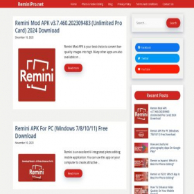 Скриншот главной страницы сайта reminipro.net