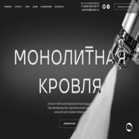 Скриншот главной страницы сайта remontkrovli.pro