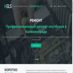 Скриншот главной страницы сайта remontnoutbukov.su