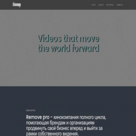 Скриншот главной страницы сайта removepro.ru