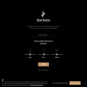Скриншот главной страницы сайта remy.com