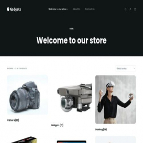 Скриншот главной страницы сайта reptronelectronics.com
