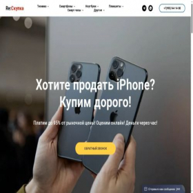 Скриншот главной страницы сайта reskupka.ru