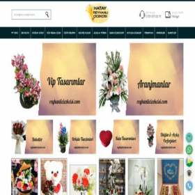 Скриншот главной страницы сайта reyhanlicicekcisi.com