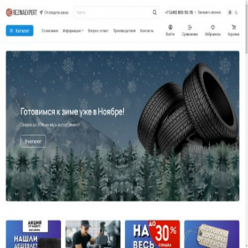 Скриншот главной страницы сайта rezina-expert.ru