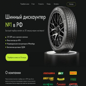Скриншот главной страницы сайта rezina-shop24.ru