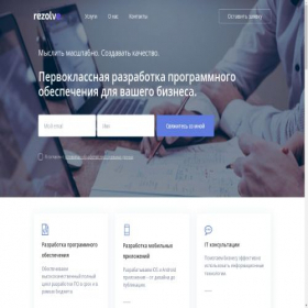 Скриншот главной страницы сайта rezolve.ru