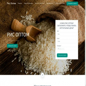 Скриншот главной страницы сайта rice-optom.ru