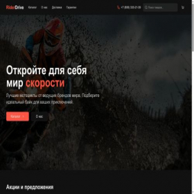 Скриншот главной страницы сайта riderdrive.ru