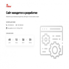 Скриншот главной страницы сайта rieker-shoes.ru