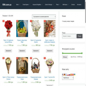 Скриншот главной страницы сайта rin.com.ua