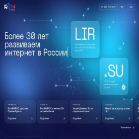 Скриншот главной страницы сайта ripn.su