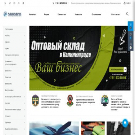 Скриншот главной страницы сайта rir39.ru
