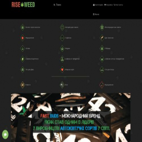 Скриншот главной страницы сайта riseweed.com