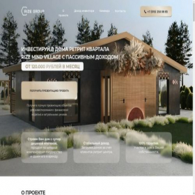 Скриншот главной страницы сайта rizeinvest.online