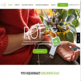 Скриншот главной страницы сайта rofes.ru