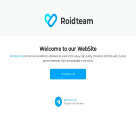 Скриншот главной страницы сайта roidteam.com