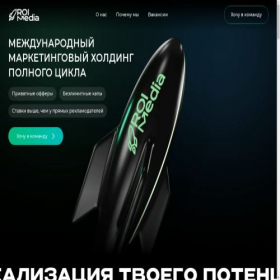 Скриншот главной страницы сайта roimedia.online