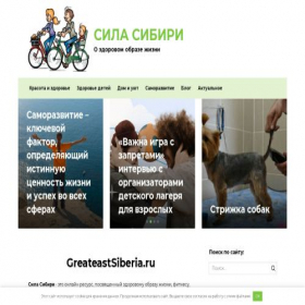 Скриншот главной страницы сайта rollerpiter.ru