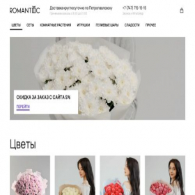 Скриншот главной страницы сайта romantic-sko.kz