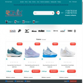 Скриншот главной страницы сайта ronixsport.ru