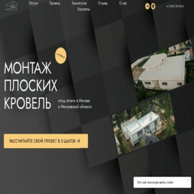 Скриншот главной страницы сайта roofdev.ru
