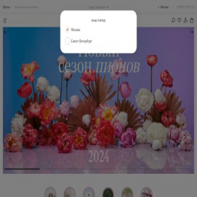 Скриншот главной страницы сайта roots-store.ru