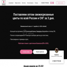 Скриншот главной страницы сайта roseberry-opt.ru