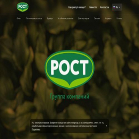 Скриншот главной страницы сайта rostgroup.ru