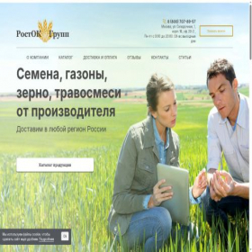 Скриншот главной страницы сайта rostokgroup.ru