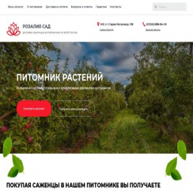 Скриншот главной страницы сайта rozaliasad.ru