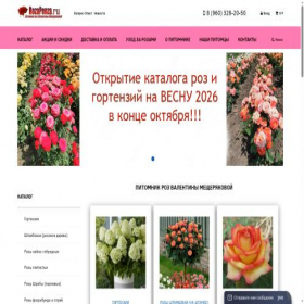 Скриншот главной страницы сайта rozapenza.ru