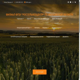 Скриншот главной страницы сайта rscmsk.ru