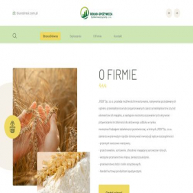 Скриншот главной страницы сайта rssi.com.pl
