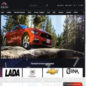Скриншот главной страницы сайта rswchip.ru