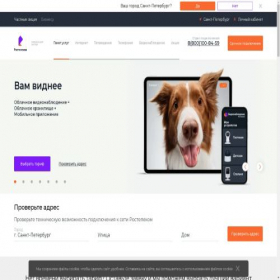 Скриншот главной страницы сайта rtspb.ru