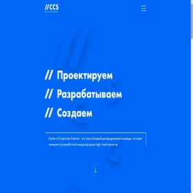 Скриншот главной страницы сайта ru-ccs.com